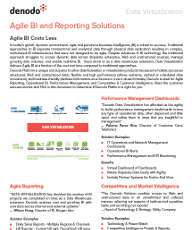 Agile BI and Reporting Solutions