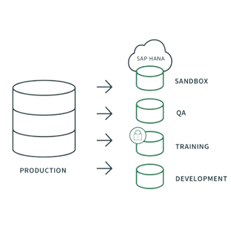 Qlik Gold Client®: Reduz o TCO do seu ambiente SAP